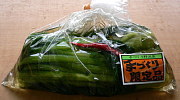 手づくり限定野沢菜